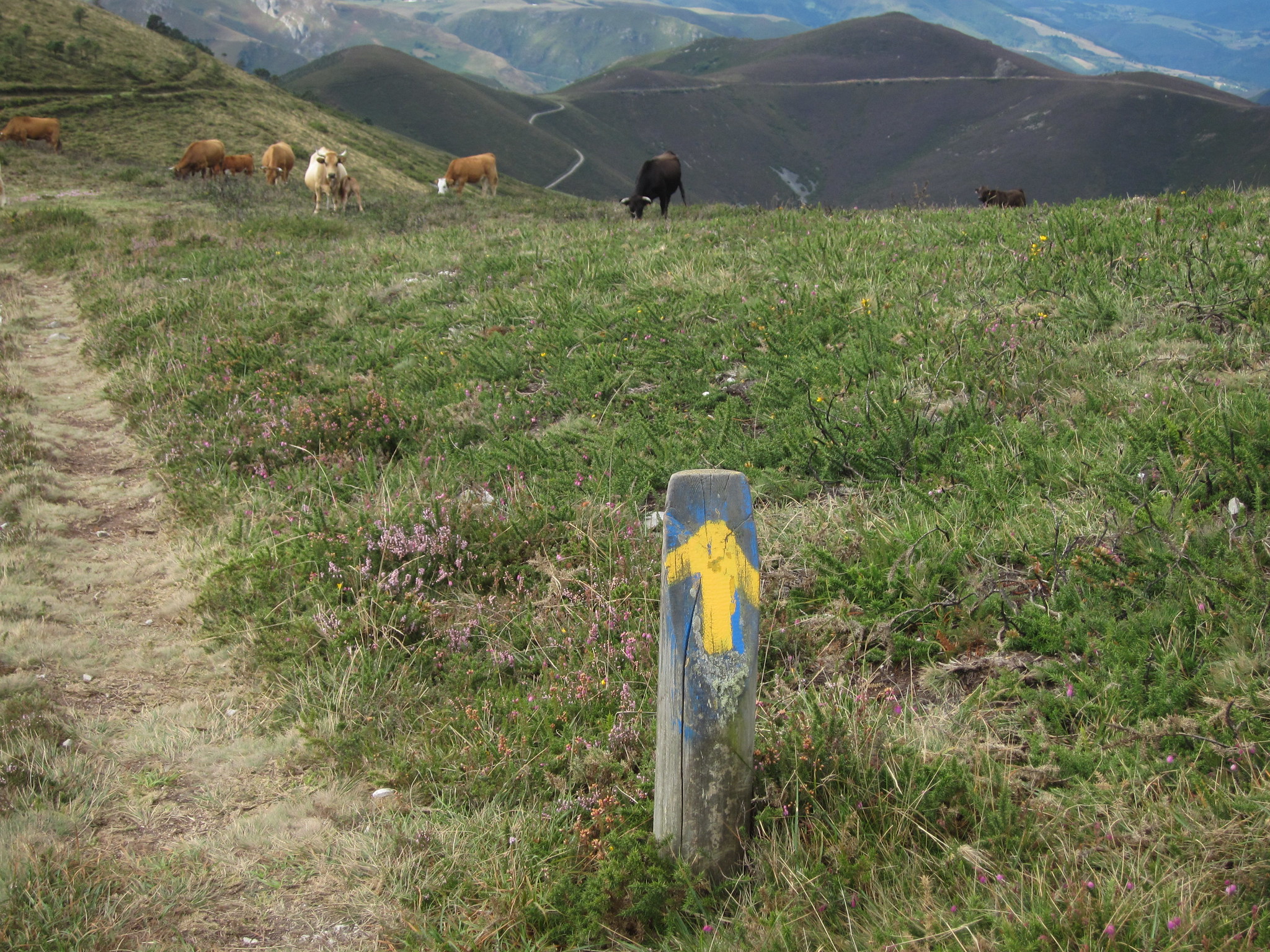 Paisaje en Asturias, España. Se muestra una flecha amarilla en la imagen.